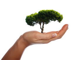 Personal Growth